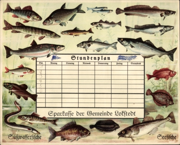 Timetable Sparkasse of the municipality of Lokstedt Hamburg, freshwater fish pike, plaice around 1930