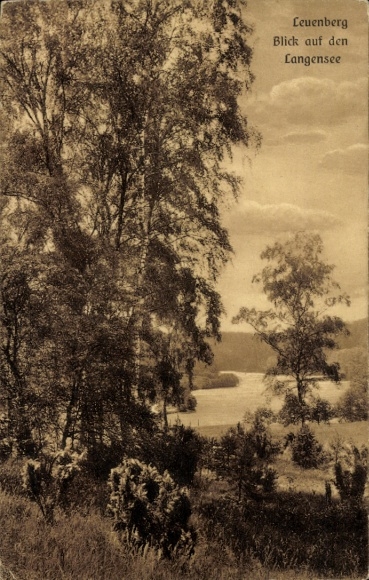 Postcard Leuenberg in der Mark, view of Langensee