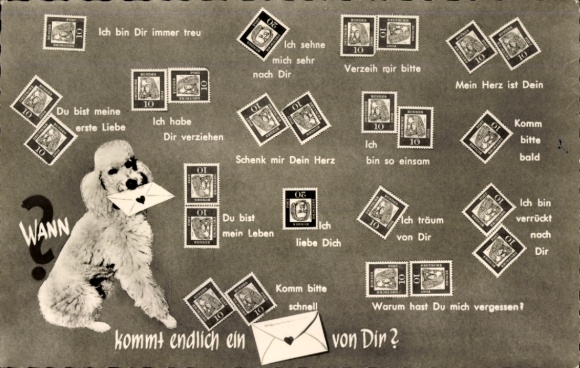 Ak Briefmarkensprache, Pudel, Wann kommt endlich ein Brief von dir?