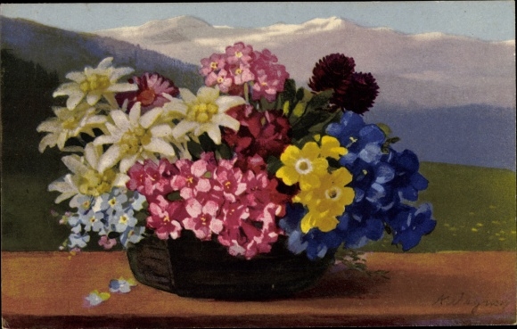 Postcard Photochromie, Nenke and Ostermaier 586, alpine flowers, gentians, edelweiss, primroses