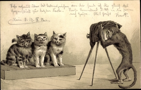 Embossed Chromo-Litho Chimpanzee photographs cats, humanized animals, camera