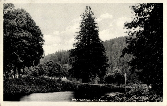 Postcard Tanne Oberharz am Brocken, landmark