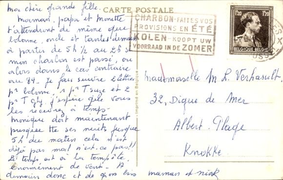 Postcard woman working on typewriter, documents, cat, dog, mice