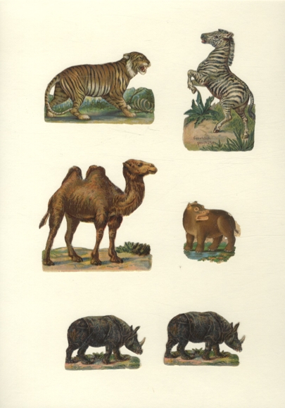 6 wafers wild animals, tiger, zebra, camel, rhinoceros, approx. 8 x 9 cm to 4 x 6 cm