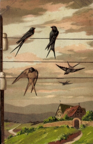 Artist Postcard Mailick, Swallows on the telephone pole