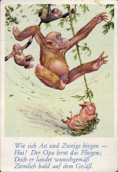 Collector's picture funny pictures No. 21, orangutan and pig on lianas