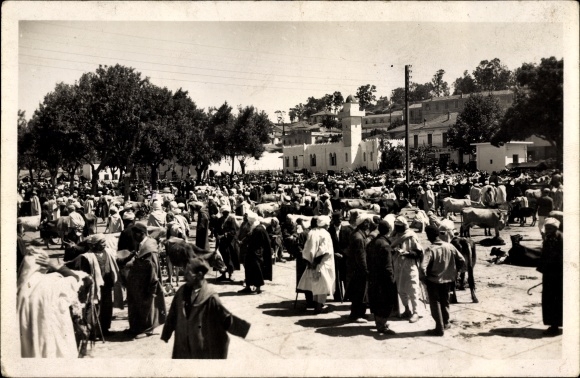 18 old PCs Algeria, various views of Oran, Algiers, Blida, Colomb Bechar, Lalla Maghrnia, Bone