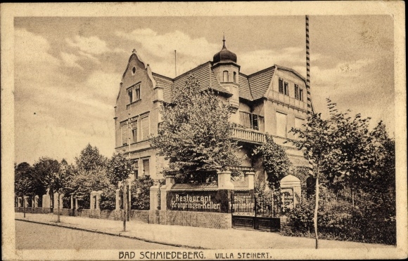 Ak Bad Schmiedeberg in der Dübener Heide, Villa Steinert, Restaurant