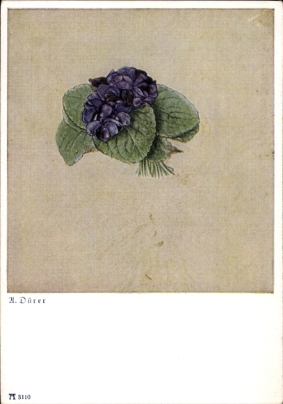 Artist Postcard Dürer, A., Bouquet of Violets