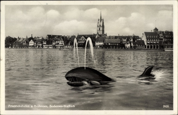 Postcard Friedrichshafen am Bodensee, Walfisch, View of the city from the water