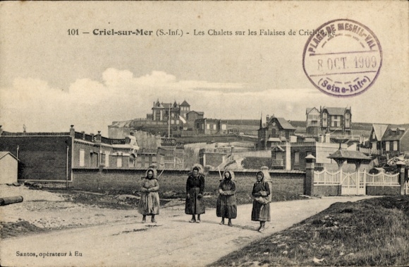 Ak Criel-sur-Mer Seine Maritime, De chalets op de kliffen