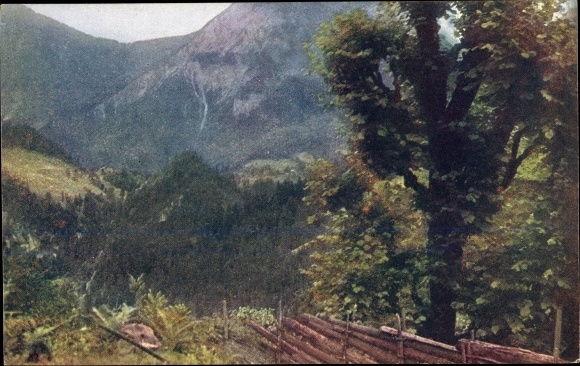 PC Carinthia Austria, motif in the cell valley
