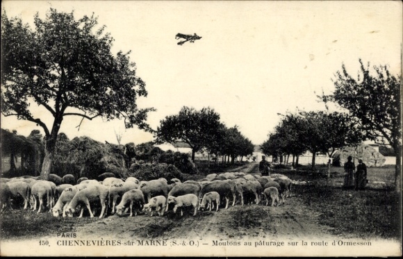 Ak Chennevières sur Marne Val de Marne, Schafe auf der Straße nach Ormesson