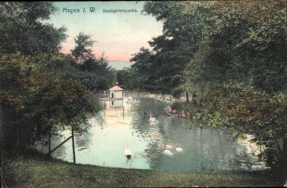 Ak Hagen in Westfalen, Stadtgartenpartie, Wasser, Bäume, Schwäne, kleines Gebäude