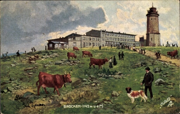 Artist Postcard Thomas, Paul, Brocken National Park Harz, observation tower, cows