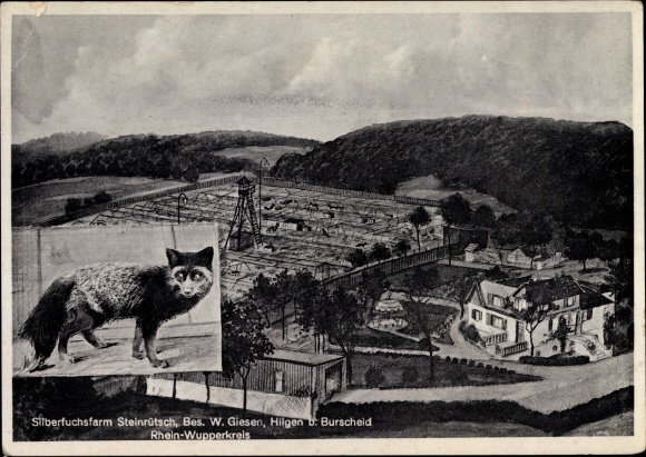 Postcard Hilgen Burscheid Rheinisch Bergische Kreis, silver fox farm Steinrütsch