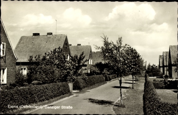 Postcard Esens Ostfriesland, Danziger Straße, settlement