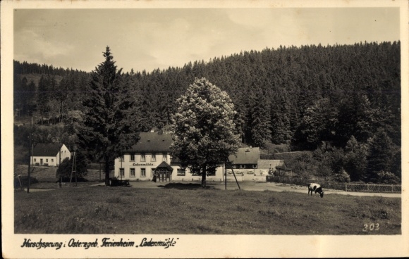 Postcard Hirschsprung Altenberg in the Ore Mountains, Ferienheim Ladenmühle at the edge of the forest