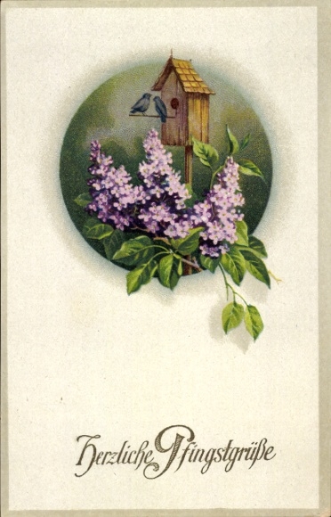 PC congratulations Pentecost, blooming lilacs, nest box, bird house