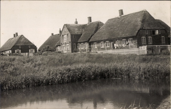 Ak Hallig Hooge in Nordfriesland, Feldlandschaft, traditionelle Reetdächer, ruhige Gewässer, länd
