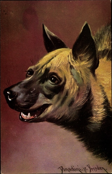 Kunstenaar Ak Donadini, Antonio Ermenegildo, hyena, dierenportret