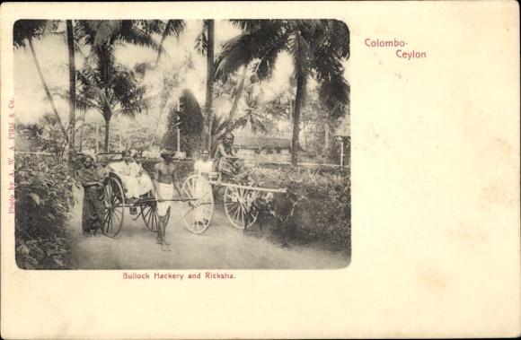 Ak Colombo Ceylon Sri Lanka, Bullock Hackery und Richsha