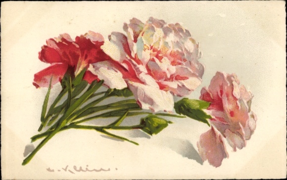 Artist Postcard Klein, Catharina, Carnations