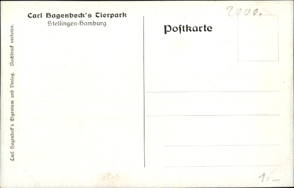 Postcard Hamburg Eimsbüttel Stellingen, Carl Hagenbeck's Tierpark, Nordland Panorama, polar bears, seals