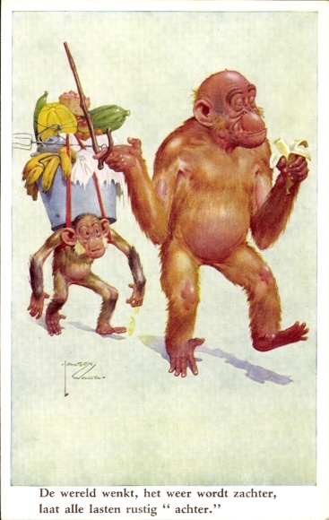 Sammelbild Lustige Bilder Nr. 46, Orang Utan, Schimpanse trägt Gemüse