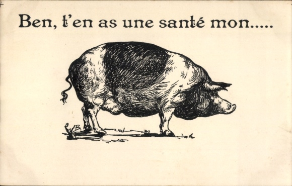 Artist Postcard I am in good health, pig portrait
