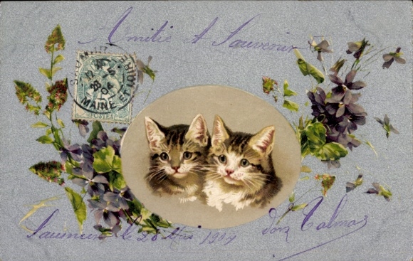 Passepartout Postcard Two young cats, violets