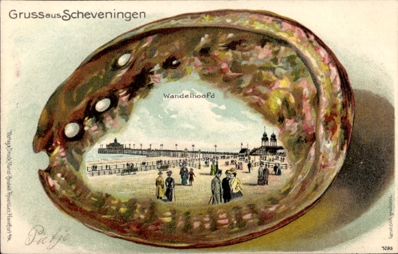 Embossed Shell Chromo-Litho Scheveningen The Hague South Holland, Wandelhoofd