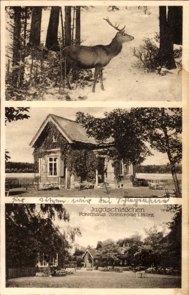 PC Blankenburg am Harz, forester's lodge Totenrode, hunting lodge, deer