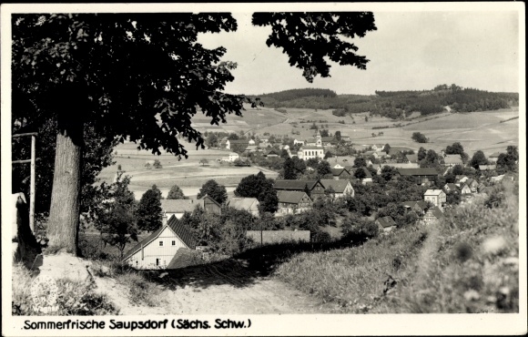 Ak Saupsdorf Sebnitz Sachsen, Teilansicht