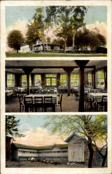 Ak Elterlein im Erzgebirge, Gasthaus, Handelsbienenstand, Finkenburg, Sommerfrische, Wald, Ausflu