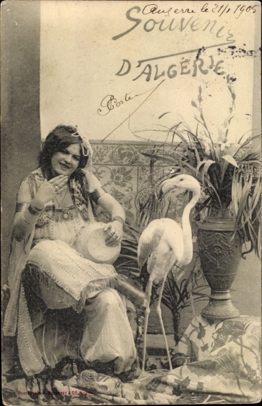 Postcard Algeria, Woman, Flamingo