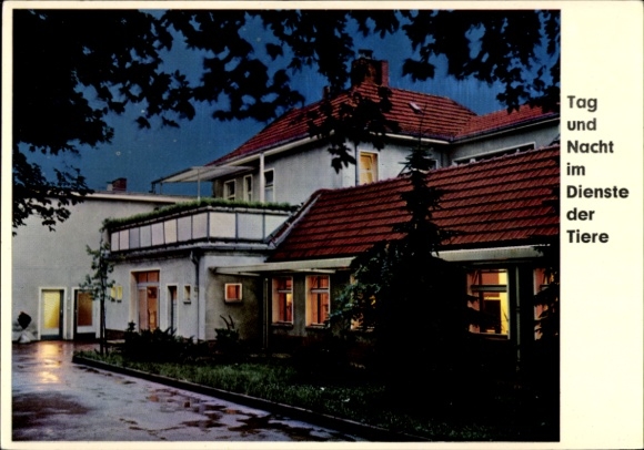 Postcard Berlin Steglitz Lankwitz, Animal Shelter, Dessauer Str. 21-27, Animal Welfare Association Berlin