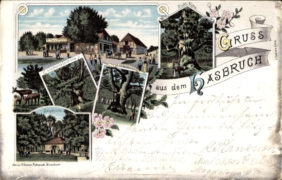 Chromo-Litho Hude in Lower Saxony, Hasbruch, Gasthaus zum Falkenburg by Neumeyer, trees, thick oak