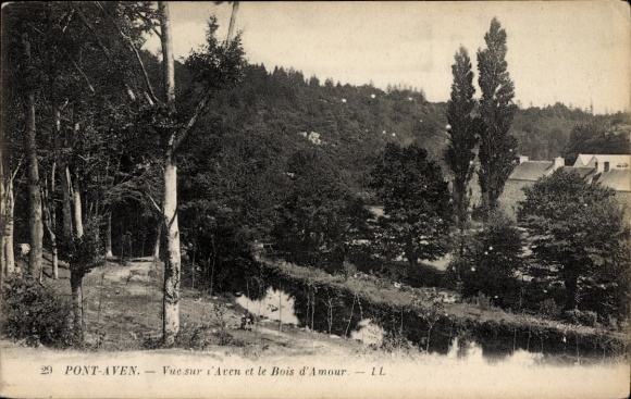 Postcard Pont Aven Finistère, Vue sur l'Aven et le Bois d'Amour