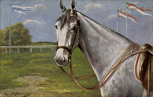 Artysta KP Müller, sierpień, portret konia, białe futro, siodło, flagi