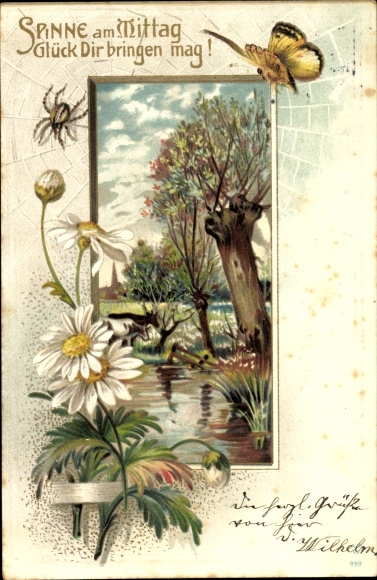 Chromo-Litho spider at midday may bring you luck, daisies, butterfly