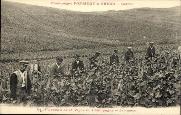 Set with 40 PCs Reims, Caves Pommery, envelope