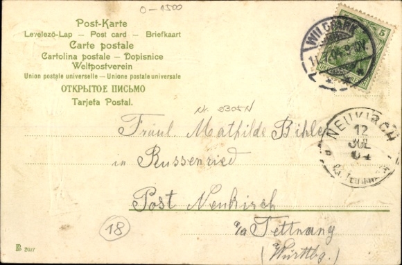 Embossed Passepartout Postcard Potsdam, Neues Palais, Terrace, Fly Agarics