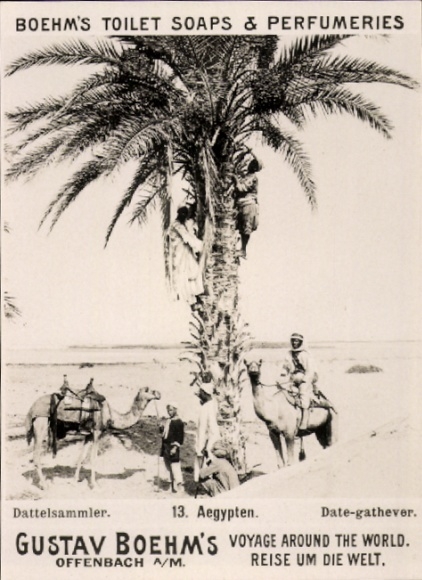 Photo Egypt, Date Collector, Advertising Boehm's Toilet Soaps