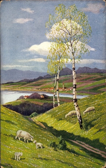 Künstler Ak Mailick, Schafe, Wiese, Birken