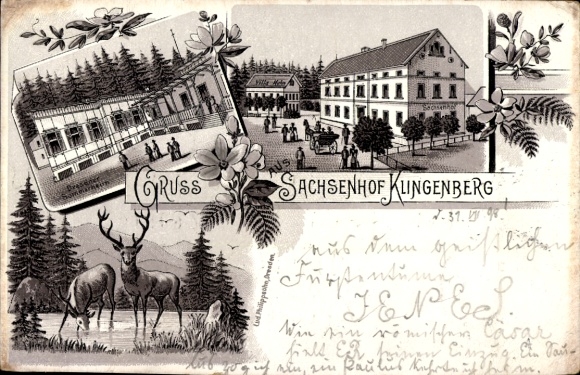 Chromo-Litho Klingenberg in the Ore Mountains Saxony, Dresden Summer Home, Sachsenhof, Deer