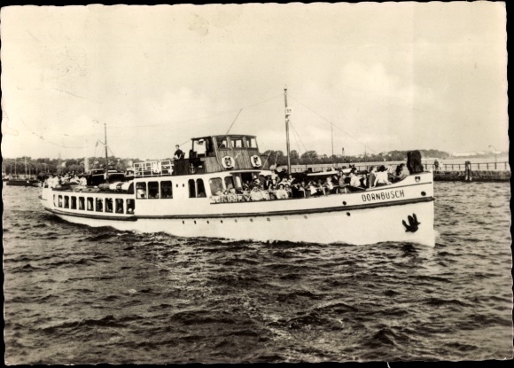 Ak MS Dornbusch, Witte Vloot Stralsund