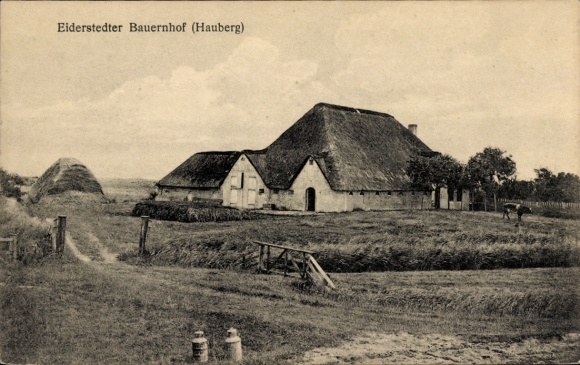 Ak Hauberg grapwoord in Noord-Friesland, boerderij Eiderstedt, rieten dak