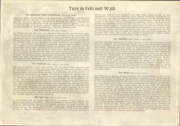 Timetable Sparkasse Genossenschaft, animals in fields and forests, rabbits, partridges, lynxes around 1930