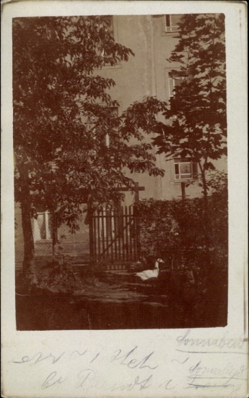 Postcard Luhme Rheinsberg in Brandenburg, partial view, house, goose